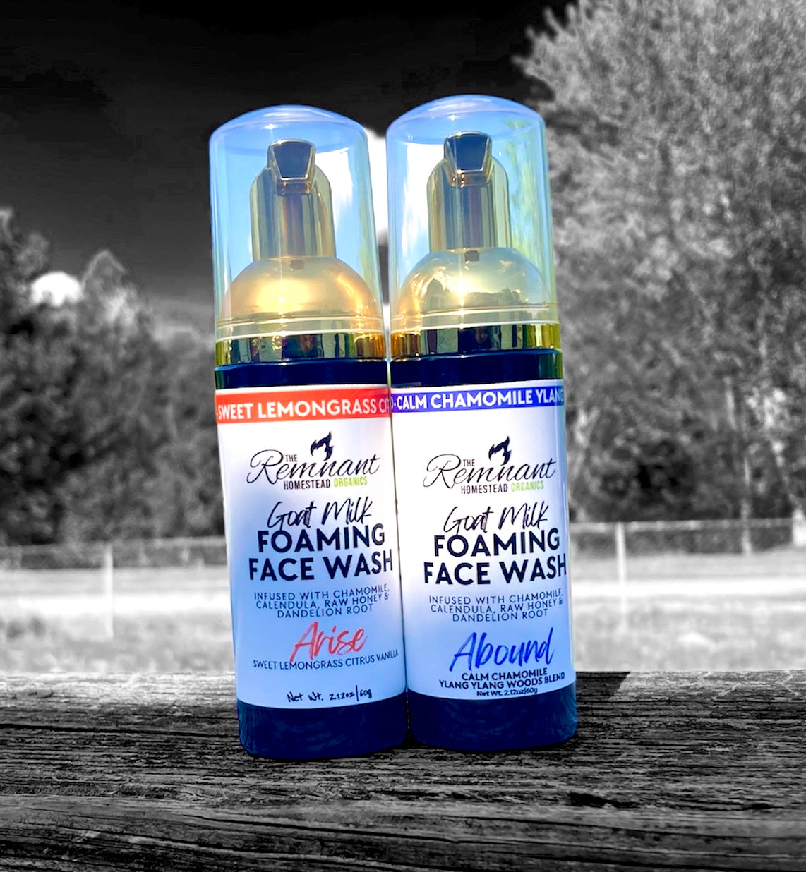 Foaming Face Wash | Goat Milk & Tallow | Colloidal Silver | Face & Beards