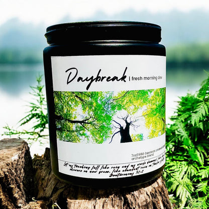 Best Selling Candle Variants [Beeswax & Coconut] | Cherry Wood Wick | Clean Burn | EO & Archetype Blend